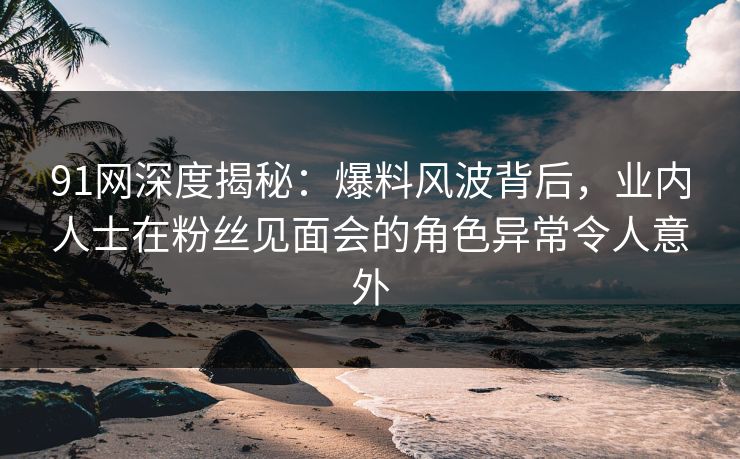 91网深度揭秘：爆料风波背后，业内人士在粉丝见面会的角色异常令人意外