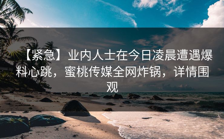 【紧急】业内人士在今日凌晨遭遇爆料心跳，蜜桃传媒全网炸锅，详情围观