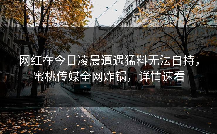 网红在今日凌晨遭遇猛料无法自持，蜜桃传媒全网炸锅，详情速看