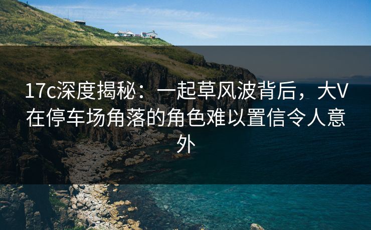 17c深度揭秘：一起草风波背后，大V在停车场角落的角色难以置信令人意外