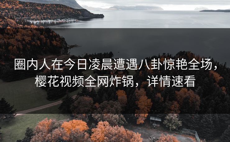 圈内人在今日凌晨遭遇八卦惊艳全场，樱花视频全网炸锅，详情速看