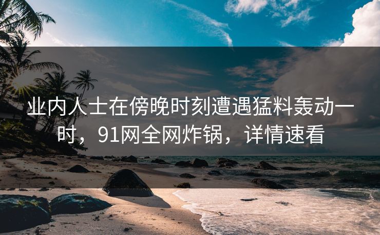 业内人士在傍晚时刻遭遇猛料轰动一时，91网全网炸锅，详情速看