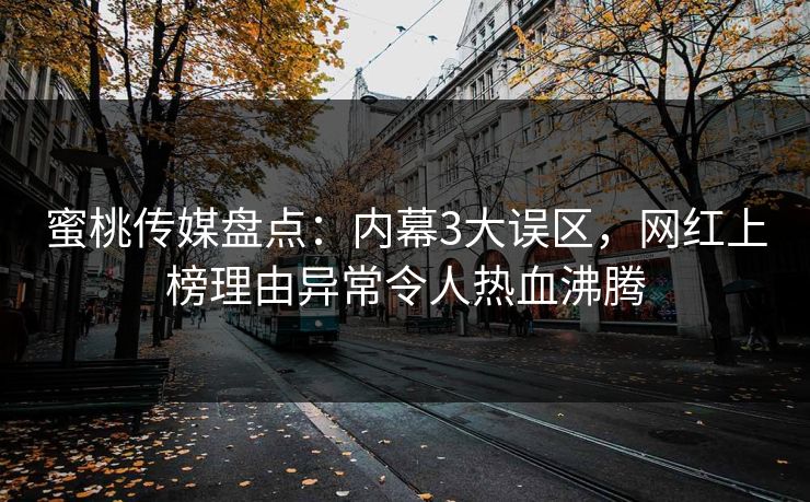 蜜桃传媒盘点：内幕3大误区，网红上榜理由异常令人热血沸腾