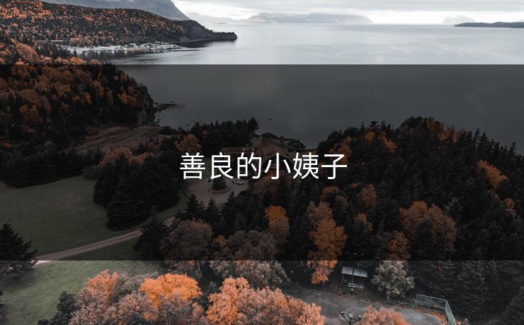 善良的小姨子 善良的小姨子